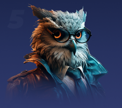 Night Owl Night Owl