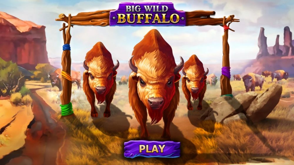 Big Wild Buffalo