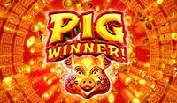 Pig Winner
