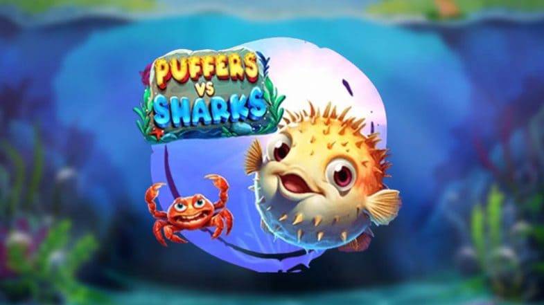 Puffers Vs Sharks Puffers Vs Sharks